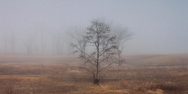 Во Владивостоке в пятницу облачно, ветрено и туман