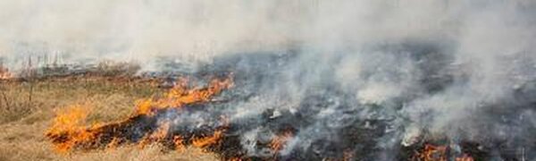 На этой неделе ситуация с лесными пожарами в Приморье ухудшится