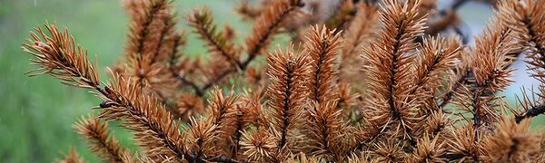 Похолодание и небольшие осадки: всё о погоде в Приморье в среду