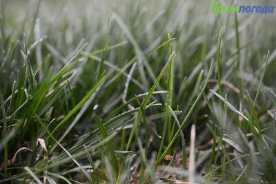 Небольшие осадки и потепление: всё о погоде в Приморье в четверг