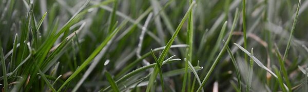 Небольшие осадки и потепление: всё о погоде в Приморье в четверг