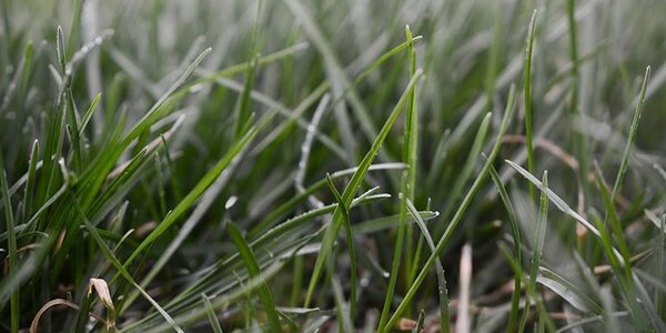 Небольшие осадки и потепление: всё о погоде в Приморье в четверг