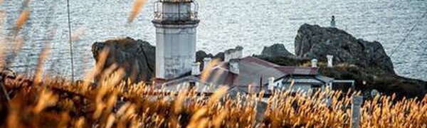 В большинстве районов Приморья сегодня сильный ветер