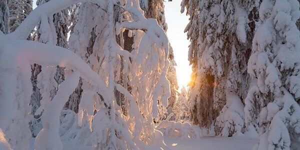 Сорокаградусные морозы нагрянут в Приморье в пятницу ночью