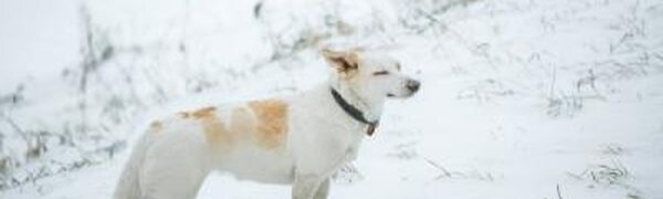 Морозная погода была в Приморье на выходных (ФОТО)