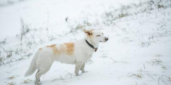 Морозная погода была в Приморье на выходных (ФОТО)