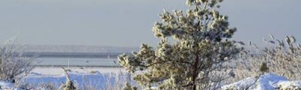 В Приморье прошли осадки с количеством до 9 мм