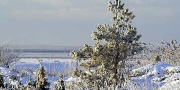 В Приморье прошли осадки с количеством до 9 мм