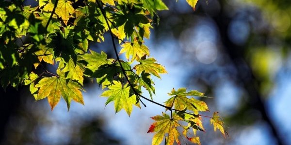 Сентябрь в Приморье оказался теплым и экстремально сухим