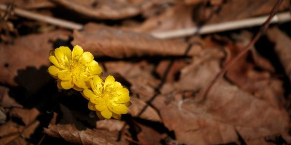 На Пасху Владивосток ждёт прохладная и ветреная погода