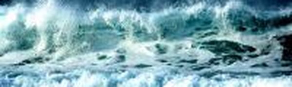 Российские ученые: Радиации в Японском море нет