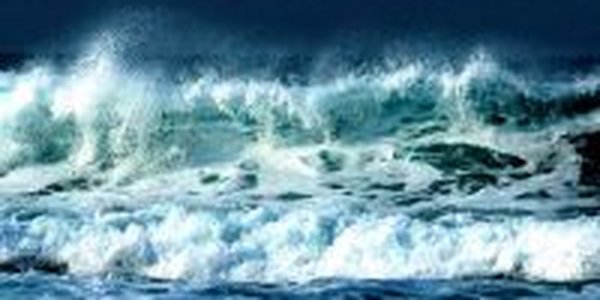 Российские ученые: Радиации в Японском море нет