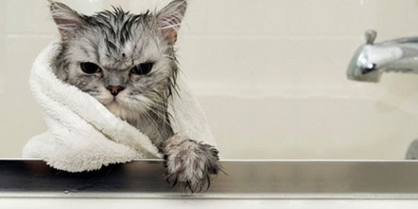 До 1 сентября горячая вода вернется в дома ряда районов Владивостока