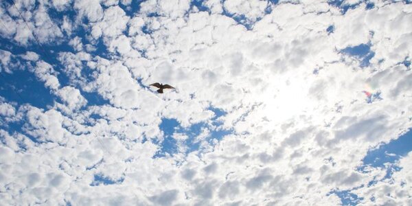 На побережье Приморья на выходных будет прохладно