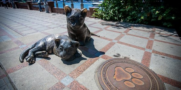 Во Владивостоке пройдёт детский праздник «День рождения тигрят»