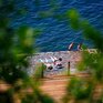 Синоптики рассказали, когда солнечная погода установится в Приморье