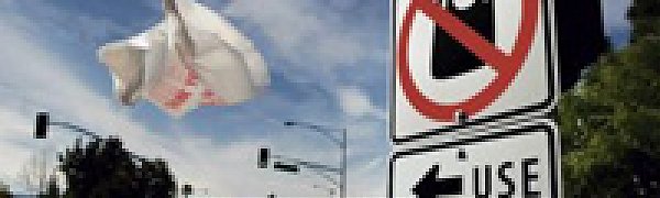 Калифорния вводит очередной запрет на пластиковые пакеты