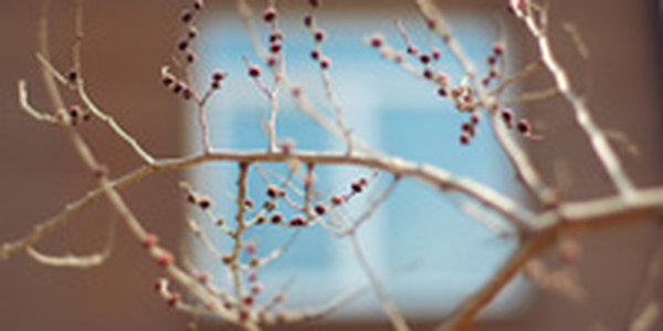 Погодные графики: Март в числах