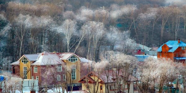 Морозная погода будет в Приморье на выходных