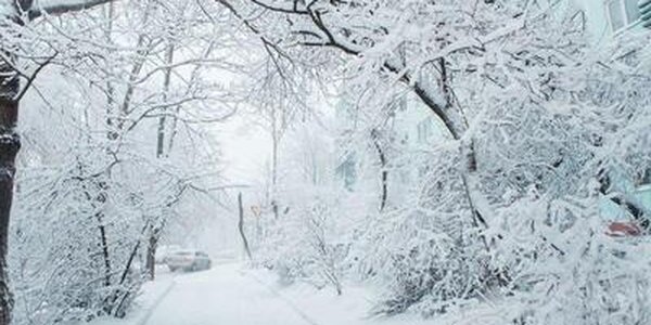 Больше всего снега выпало в Лазовском и Хасанском районах