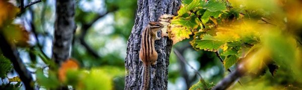 Климатический портрет сентября в Приморье