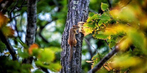 Климатический портрет сентября в Приморье