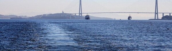 С 17 апреля будет ограничено посещение островов Русский, Попова и Рейнеке