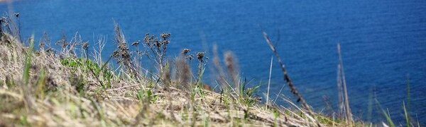 Синоптики рассказали, почему в Приморье жарко, а на побережье холодно