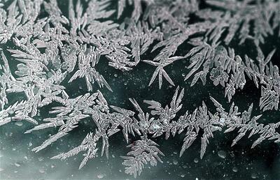 Пик морозов в Приморье пришелся на 24 января