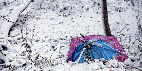 В среду на севере восточного побережья Приморья порывы ветра достигали 32 м/с