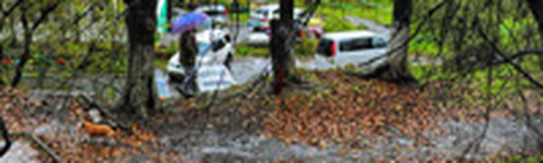 Июль начался дождями