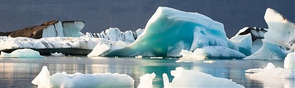 В течение 10 лет может произойти глобальная экологическая катастрофа