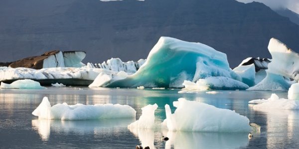 В течение 10 лет может произойти глобальная экологическая катастрофа