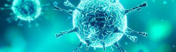 Стало известно, кого в первую очередь проверяют на коронавирус в Приморье