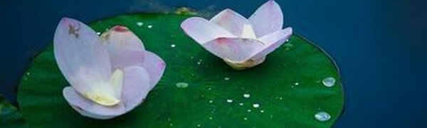 Циклон из Китая повлияет на погоду в Приморье