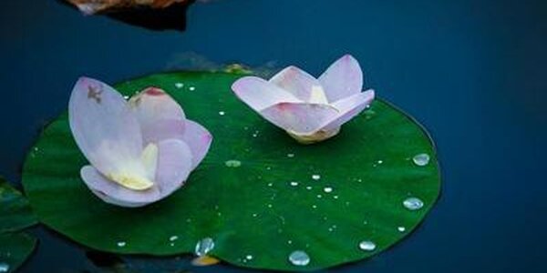 Циклон из Китая повлияет на погоду в Приморье