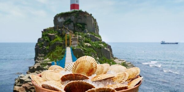 Во Владивостоке стартовал фестиваль дальневосточных гребешков «На гребне»