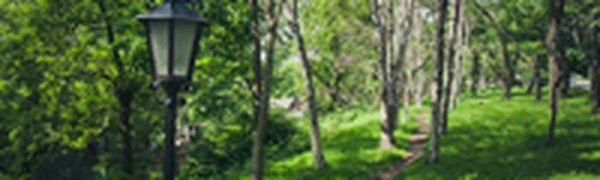 В выходные Владивосток попадет под влияние атмосферных фронтов