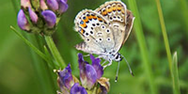 Июнь в Приморье в этом году выдался экстремальным