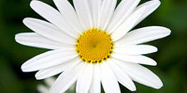 Вчера в Приморье было жарко 