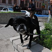 Скверы Владивостока: где можно посидеть на лавочке? (ФОТО)