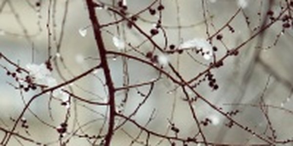 Апрельский снег во Владивостоке