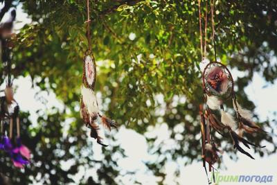 «Бабье лето» в Приморье взяло небольшой перерыв на дождь