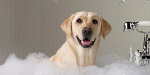 Горячая вода вернулась в дома в большей части жителей Владивостока