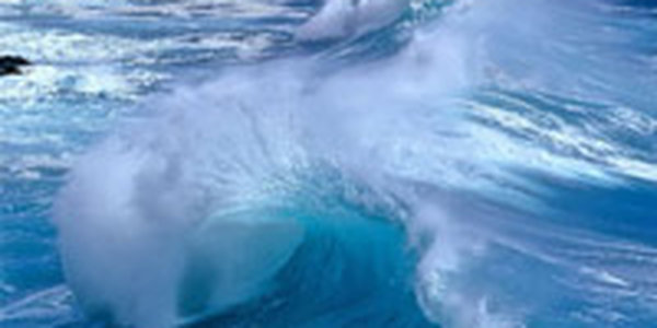 Сегодня отмечается Всемирный день моря