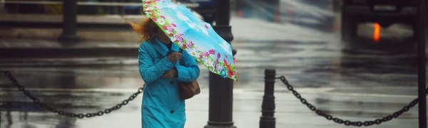 Дожди с грозами и усиление ветра ожидаются в Приморье