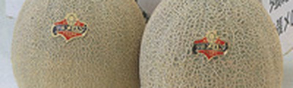 В Японии пару дынь продали за 16 тысяч долларов