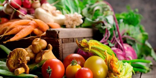 Новогодние и рождественские ярмарки пройдут в Приморье