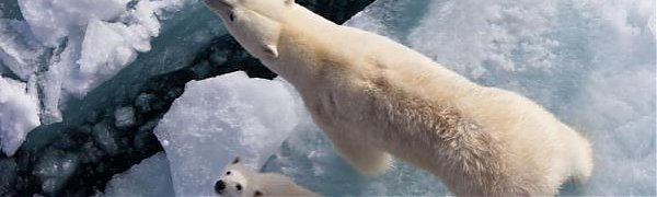 Потепление бьет новые рекорды, и рост температуры океана уже не остановить