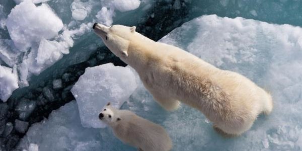 Потепление бьет новые рекорды, и рост температуры океана уже не остановить